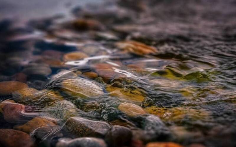 robert-zunikoff-409755-unsplash