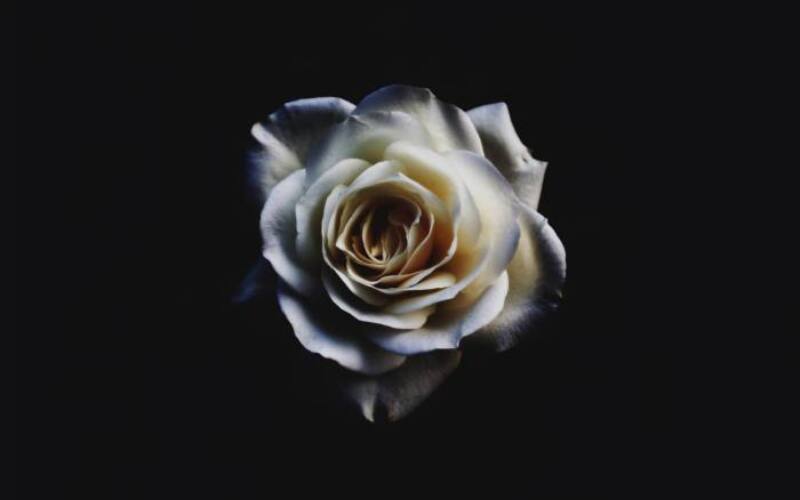sebastian-molina-fotografia-natjj0CTa-s-unsplash