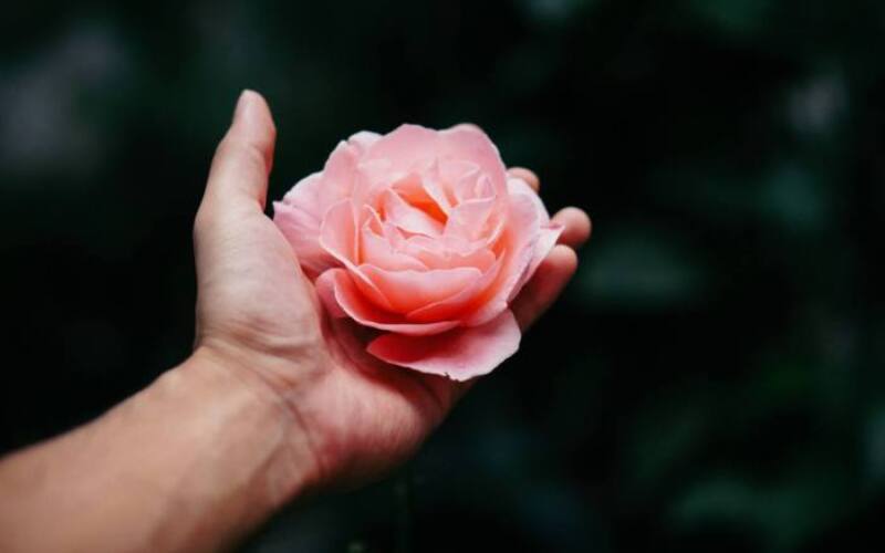 shttefan-mtu6m_nLFQI-unsplash