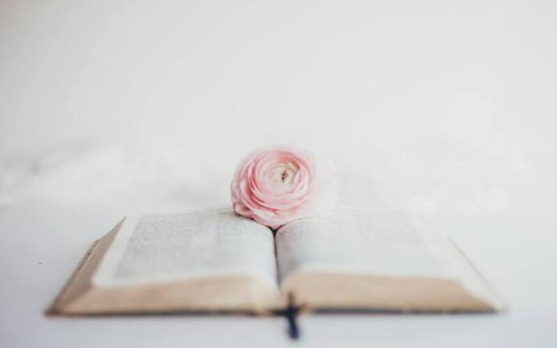 sixteen-miles-out-nQjExbAyPbU-unsplash