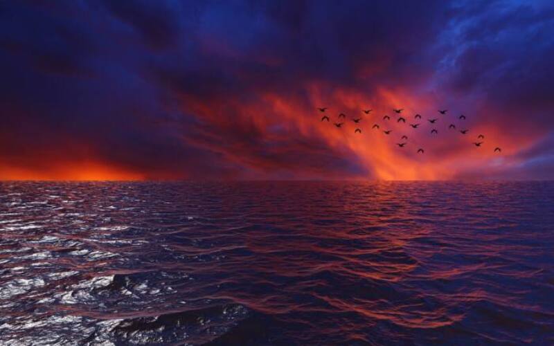 sunset, nature, water, horizon, waves, landscape, ocean, birds-3816247.jpg
