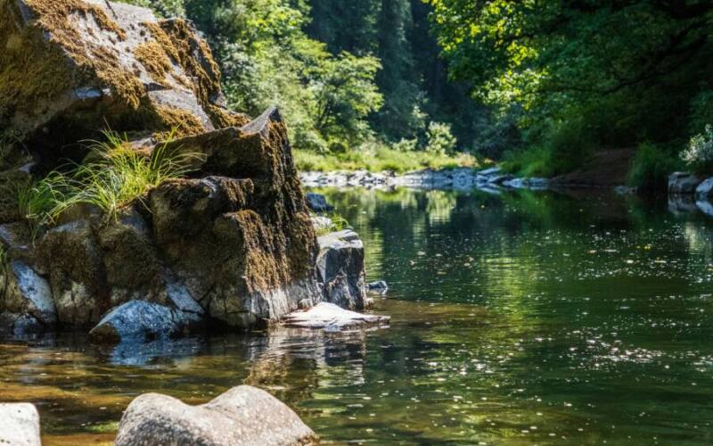 taylor-r-clkI9_xcuis-unsplash