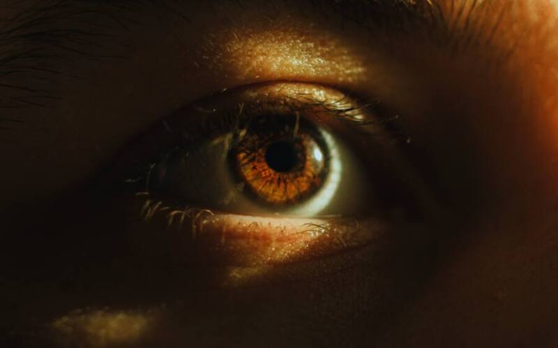 tony-litvyak-DGdaKzZ_MT4-unsplash