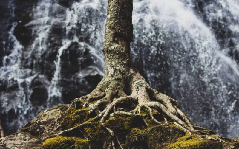 zach-reiner-631842-unsplash